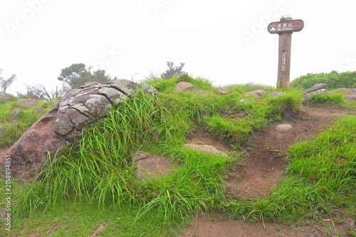 Bild auf Leinwand 伊豆半島　山霧の伊豆山稜線歩道　夏の金冠山山頂