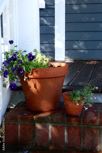 Purple pansies in a pot on porch steps