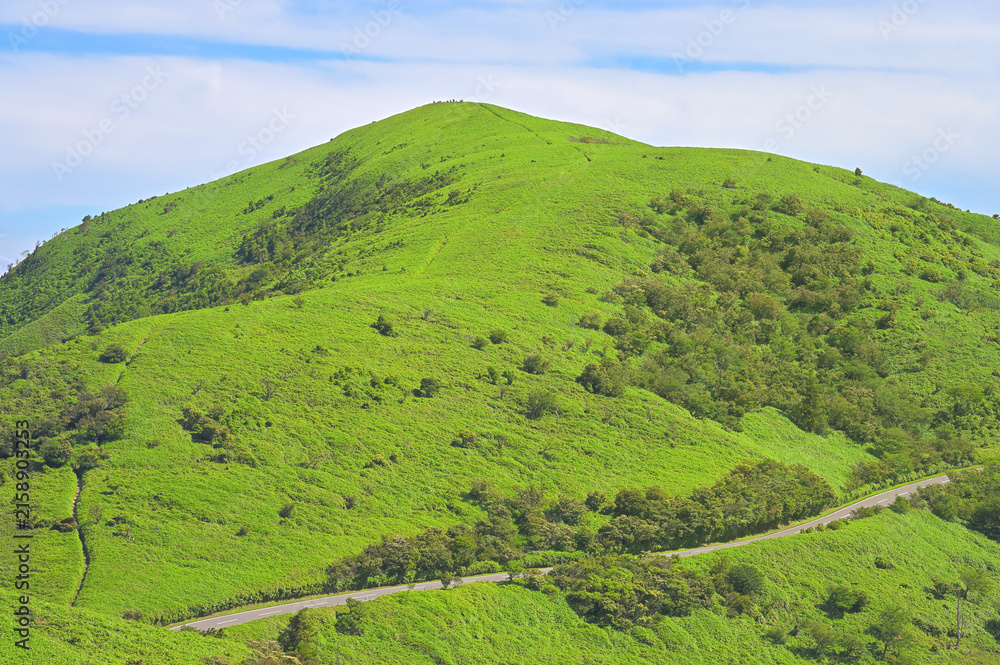 Obraz premium 伊豆半島の伊豆山稜線歩道 夏の古稀山山頂より望む緑の達磨山 