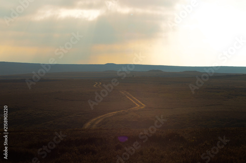 Wall Mural landscape moor