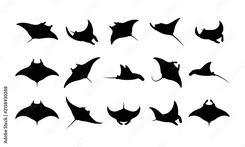 Fototapeta premium Collection of black silhouette manta rays swimming in various positions