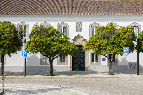 Ornamental Orange Trees Lining a Historic White Portuguese Building With Cobblestone Square and Parking Signs