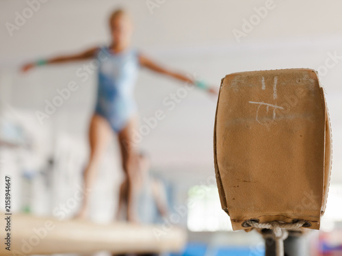 Obraz na płótnie Pommel horse in a gymnasium