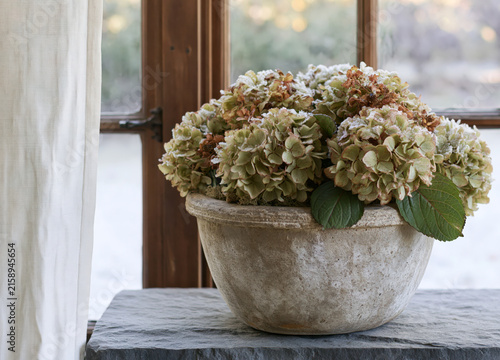 Frosted hydrangea blooms in weathered stone planter on slate windowsill with snowy winter view through wooden windows.