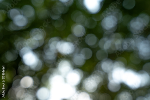 abstract green and white bokeh background with soft out of focus circular light spots