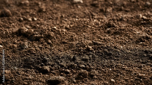Close up of rich dark brown soil surface showing granular texture and natural earthy tones for design or gardening applications