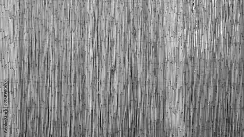 Weathered Bamboo Fence Natural Rustic Texture Background