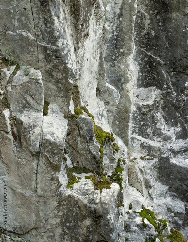 close up view of rugged natural gray stone rock wall with patches of green moss and small plants