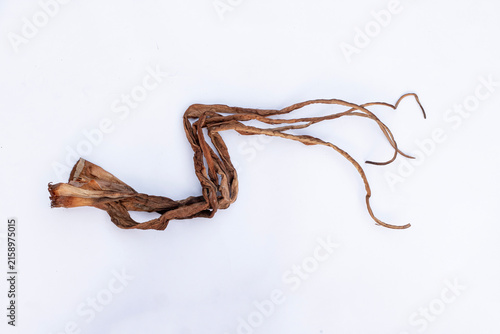 Dried Taro Stems as Natural Material for Traditional Handicrafts, Dry Taro Stalk with Rustic Natural Texture for Craft Material, Dried leaves