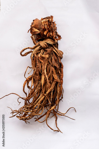 Dried Taro Stems as Natural Material for Traditional Handicrafts, Dry Taro Stalk with Rustic Natural Texture for Craft Material, Dried leaves