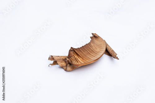 Dried Banana Leaf with Brown Natural Texture on White Background, Dead Dry Banana Leaf Isolated on White Background