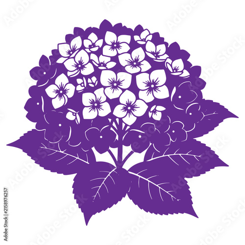A purple silhouette of a blooming hydrangea flower head with detailed petals and large leaves, isolated on a white background for