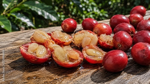 Opened Ripe Coffee Cherries Revealing Fresh Coffee Seeds