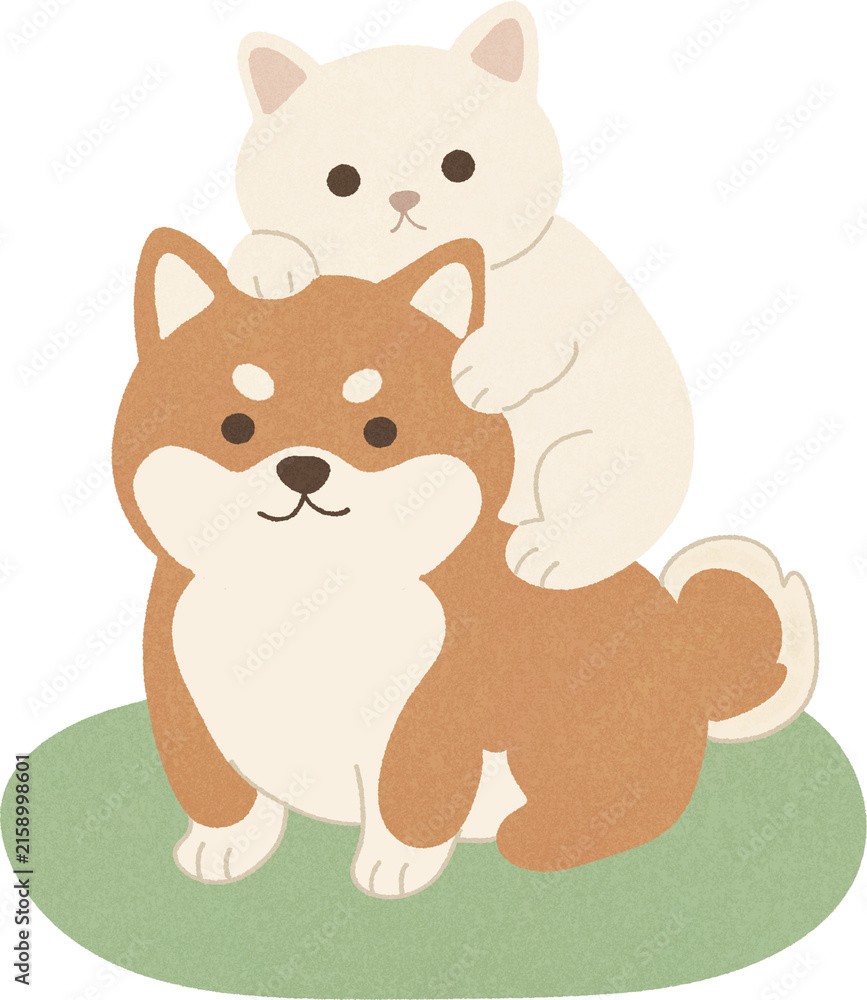 Fototapeta premium Cute white cat hugging a Shiba Inu dog illustration