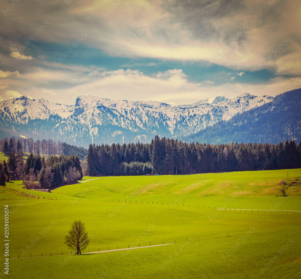 Naklejka premium Scene featuring vintage retro hipster style travel view of German idyllic pastoral countryside in spring with Alps in background. Bavaria, Germany