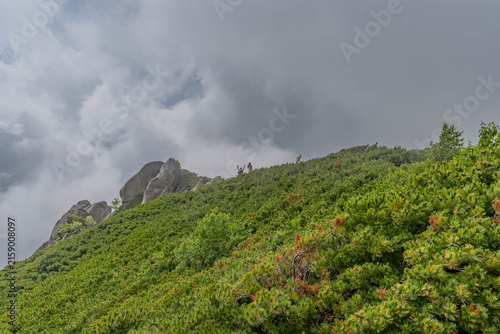 Hikers celebrating on misty green mountain ridge, Japan