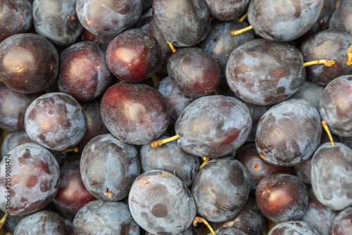 Obraz na plátně Abundant fresh plums with a dusty bloom, a healthy and delicious fruit harvest
