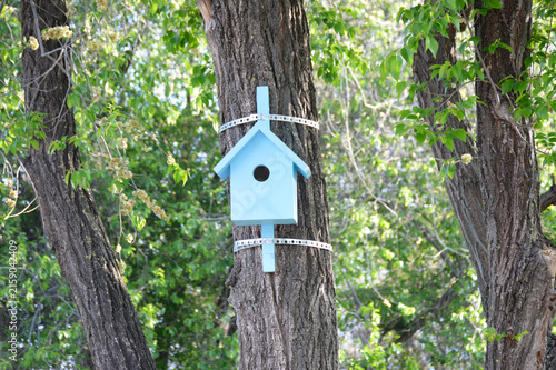 A bird feeder in the shape of a house made of wooden blocks hangs on a tree in a city park. caring for birds in autumn and winter. place to feed hungry birds