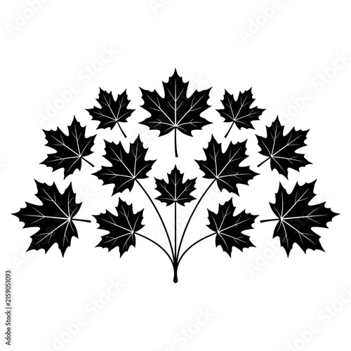 Autumn, Black maple leaf vector silhouette, autumn foliage branch illustration, minimalist botanical maple leaves set for fall design isolated on White Background
