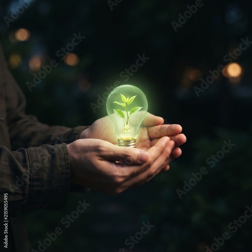 The Germination of Hope: Cupped hands cradle a glowing lightbulb with a vibrant green sprout emerging from its filament, symbolizing new beginnings, sustainable innovation.
