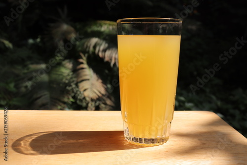 Glass of orange juice on a wood table in the garden with a space for writing. Fruit juice in summer with a green background and vegetation. Refreshment and natural juice in orange color.