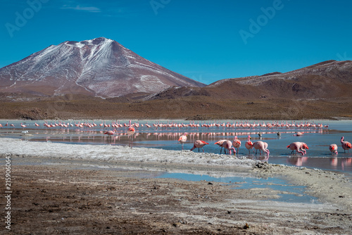Obraz na płótnie paysage montagneux avec un lac et flamants roses