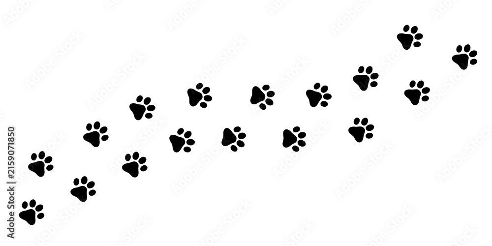 Obraz premium Dog Footprint Trail, Black Paw Prints Isolated on Transparent Background