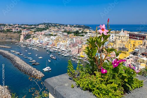Piękny kwiat na tle panoramy Marina di Corricella na wyspie Procida, Włochy.