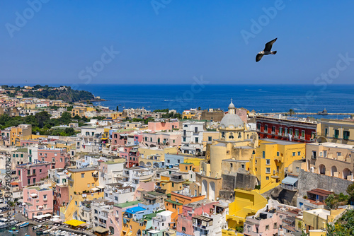 Mewa w locie nad kościołem Santa Maria delle Grazie na wyspie Procida, Włochy.