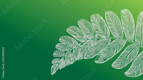 Vibrant green gradient background features a detailed white outline drawing of a large fern frond, diagonally positioned on the right