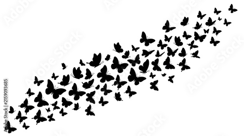 black silhouettes of butterflies