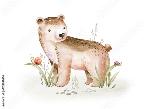 Watercolor cute baby bear and woodland nursery isolated elements illustration for children with stump and acorn forest drawing with floral elements. 