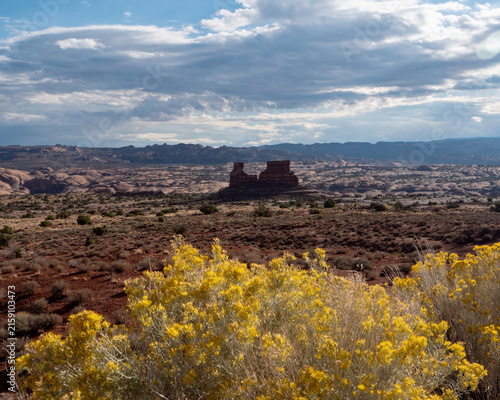 Quadro su tela Rabbitbrush Blooming Before Desert Buttes in Arches National Park
