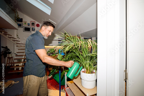 Man waters his houseplants