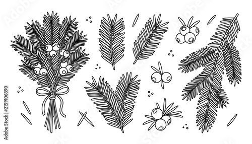 Pine Branch Collection with Berries and Bow in Black and White Line Art Style