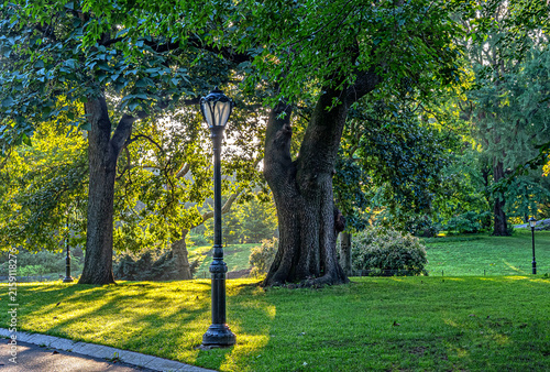 Central Park summer