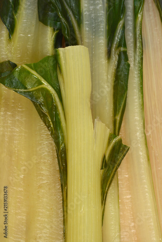 Принти на полотні A detailed macro shot showing the texture of cooked swiss chard leaves and thick light green stalks prepared for a healthy meal