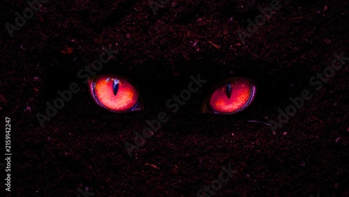 Red glowing cat eyes stare from dark earth for halloween horror themes