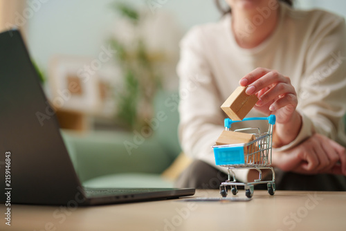 Cuadro en lienzo Woman adding miniature package to shopping cart beside laptop at home, online sh