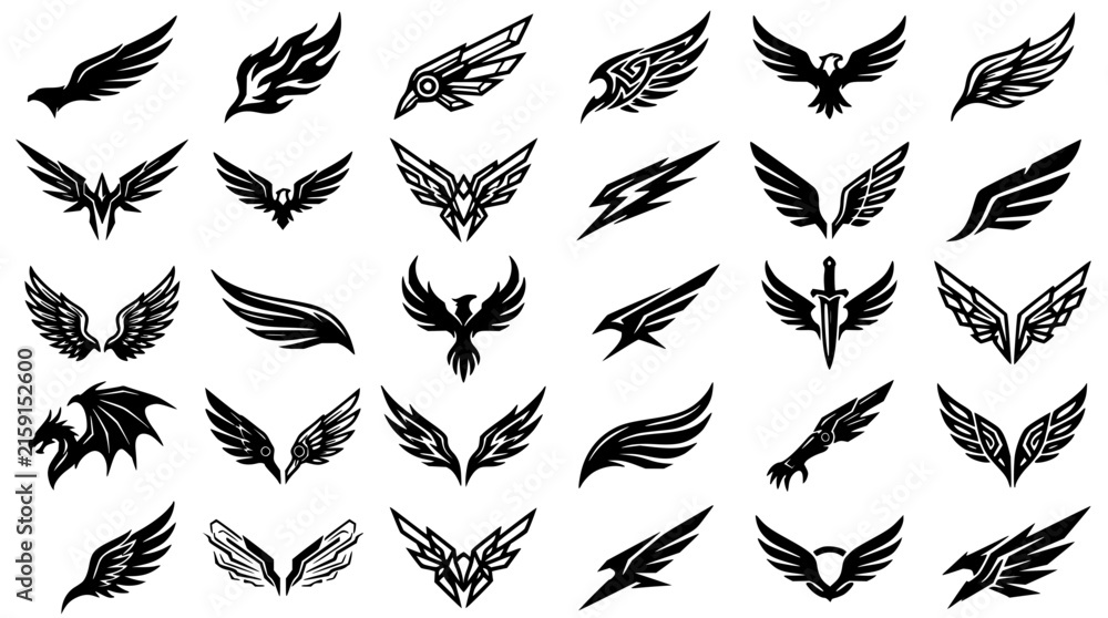 Obraz premium Black and white wing designs set with intricate feather patterns featuring ornithological illustrations with geometric and organic shapes and abstract motifs