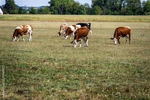 Dürre und Landwirtschaft