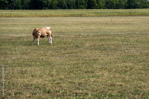 Dürre und Landwirtschaft