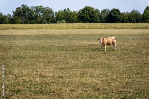 Dürre und Landwirtschaft