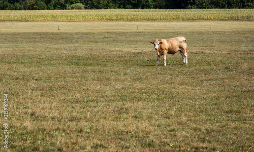 Dürre und Landwirtschaft