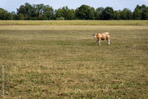 Dürre und Landwirtschaft