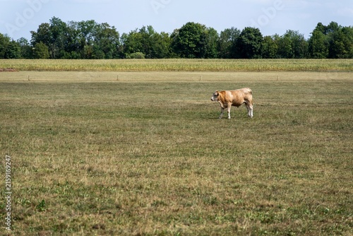 Dürre und Landwirtschaft