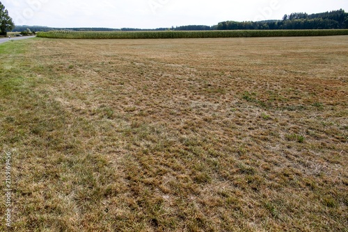 Dürre und Landwirtschaft
