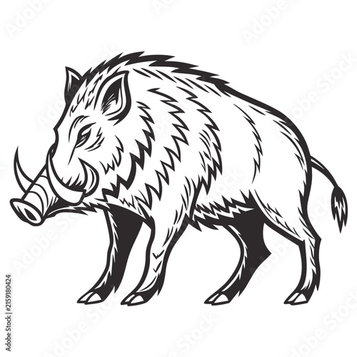 Wild boar standing, vintage woodcut style isolated on a white background, black and white tusks