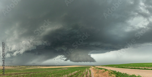 Bild auf Leinwand Storm cell formation in Tornado Alley over corn field