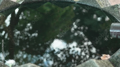寺の水受けに雨が滴る様子